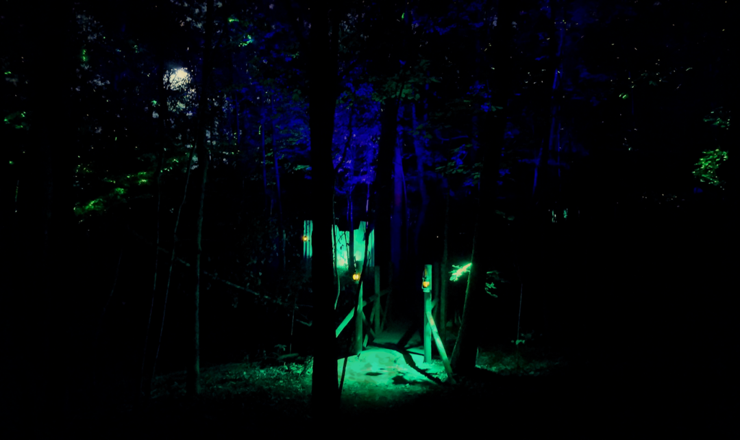 dark woods natchitoches louisiana